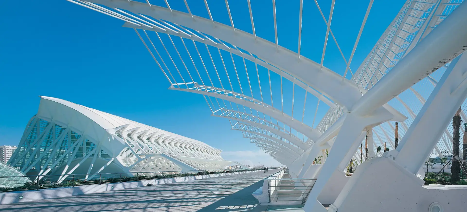 Museo de las Ciencias Valencia-Santiago Calatrava